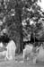 7Oct2006 (18) bw
