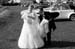 7Oct2006 (304) bw