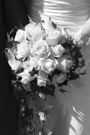 080906 (162) bw