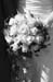 080906 (162) bw