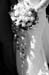 080906 (163) bw